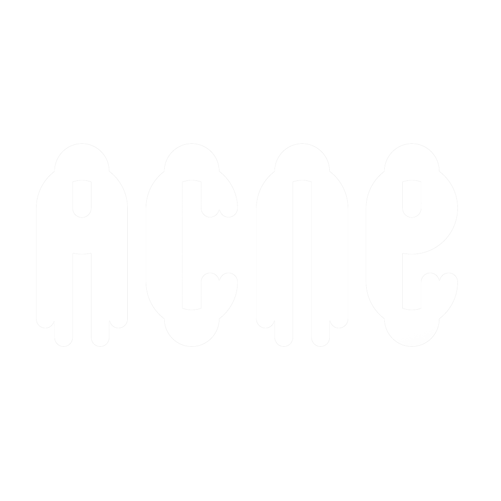 LIT Entertainment Awards Support Brand - ACNE