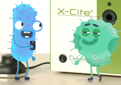 LIT Entertainment Awards Winner - Twisted Frame Inc. - X-Cite Novem