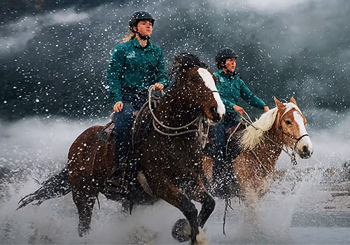 LIT Entertainment Awards Winner - Beautiful Destinations - Journey To The Beautiful Game in New Zealand