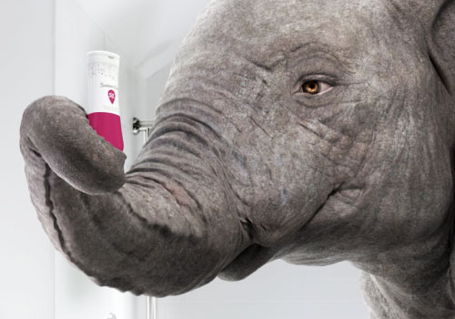 LIT Entertainment Awards Winner - Avrett Free Ginsberg - Elephant