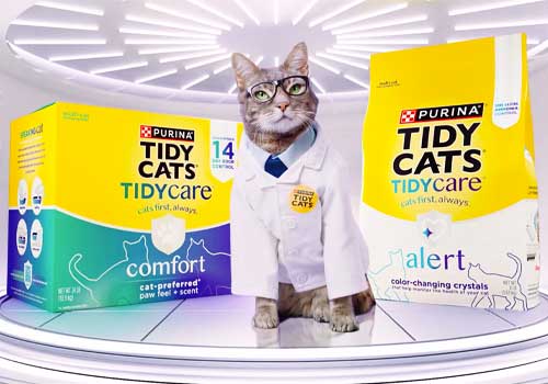 Entertainment Awards Winner - Tidy Cats - Innovation Lab