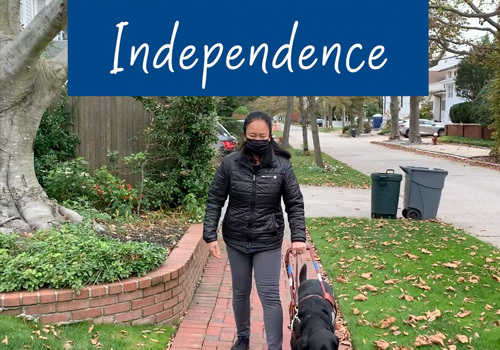 LIT Entertainment Awards Winner - True North Inc.